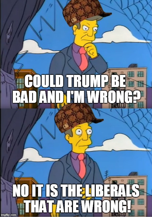 Skinner Out Of Touch | COULD TRUMP BE BAD AND I'M WRONG? NO IT IS THE LIBERALS THAT ARE WRONG! | image tagged in skinner out of touch,scumbag | made w/ Imgflip meme maker