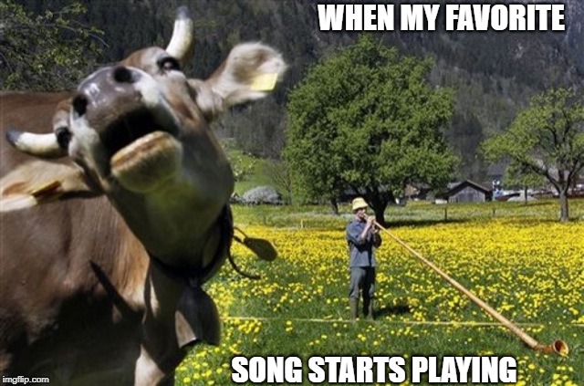 Sing-Along: Major Mammal Mix | WHEN MY FAVORITE; SONG STARTS PLAYING | image tagged in memes | made w/ Imgflip meme maker