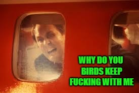 WHY DO YOU BIRDS KEEP F**KING WITH ME | made w/ Imgflip meme maker