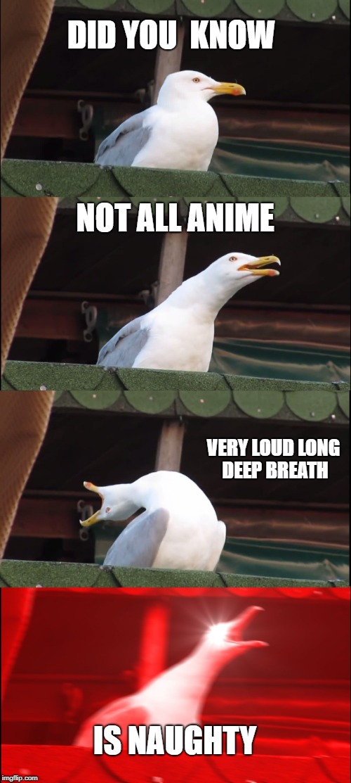Inhaling Seagull | DID YOU  KNOW; NOT ALL ANIME; VERY LOUD LONG DEEP BREATH; IS NAUGHTY | image tagged in memes,inhaling seagull | made w/ Imgflip meme maker