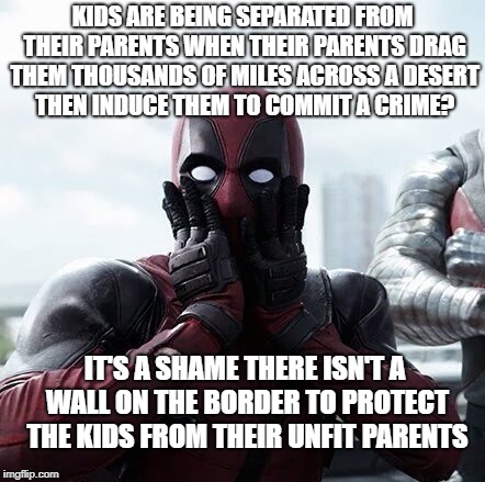 If Regressives really cared about kids, they'd build the wall.  And get rid of Planned Parenthood, but that's another meme ... |  KIDS ARE BEING SEPARATED FROM THEIR PARENTS WHEN THEIR PARENTS DRAG THEM THOUSANDS OF MILES ACROSS A DESERT THEN INDUCE THEM TO COMMIT A CRIME? IT'S A SHAME THERE ISN'T A WALL ON THE BORDER TO PROTECT THE KIDS FROM THEIR UNFIT PARENTS | image tagged in memes,deadpool surprised,kids separated at border,libtards,regressive left | made w/ Imgflip meme maker