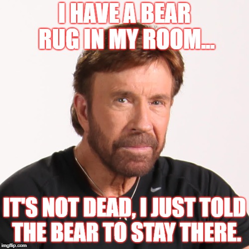 I HAVE A BEAR RUG IN MY ROOM... IT'S NOT DEAD, I JUST TOLD THE BEAR TO STAY THERE. | image tagged in chuck norris,bear rug | made w/ Imgflip meme maker