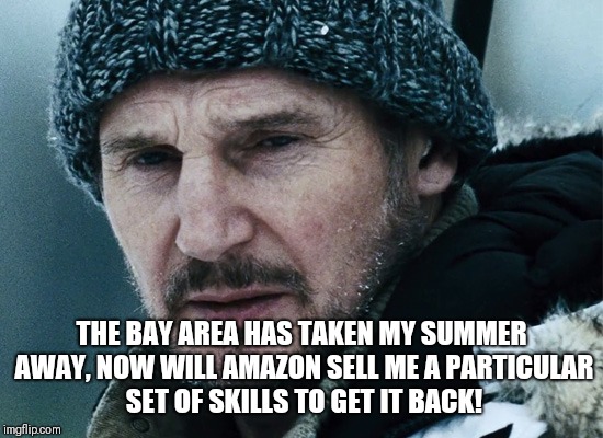 liam neeson into the grey | THE BAY AREA HAS TAKEN MY SUMMER AWAY, NOW WILL AMAZON SELL ME A PARTICULAR SET OF SKILLS TO GET IT BACK! | image tagged in liam neeson into the grey | made w/ Imgflip meme maker