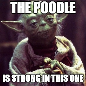 Force is strong | THE POODLE; IS STRONG IN THIS ONE | image tagged in force is strong | made w/ Imgflip meme maker
