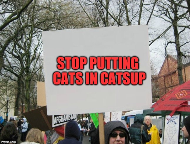 Blank protest sign | STOP PUTTING CATS IN CATSUP | image tagged in blank protest sign | made w/ Imgflip meme maker