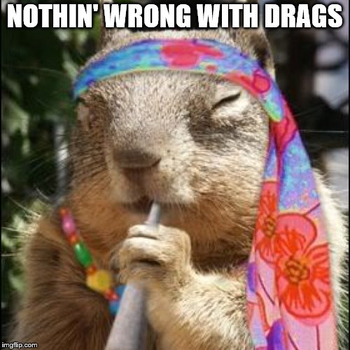 NOTHIN' WRONG WITH DRAGS | made w/ Imgflip meme maker