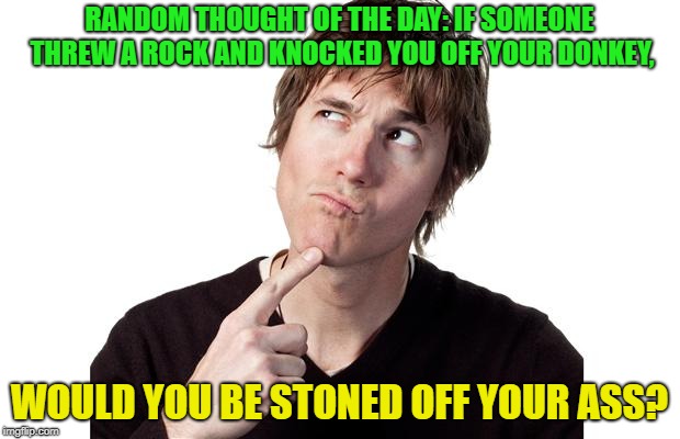 And then there was three | RANDOM THOUGHT OF THE DAY: IF SOMEONE THREW A ROCK AND KNOCKED YOU OFF YOUR DONKEY, WOULD YOU BE STONED OFF YOUR ASS? | image tagged in memes,funny,stoned,ass | made w/ Imgflip meme maker