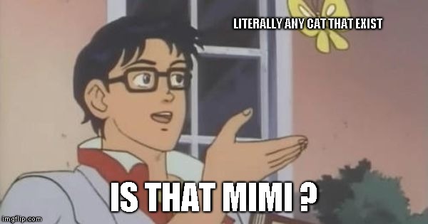 Is This a Pigeon | LITERALLY ANY CAT THAT EXIST; IS THAT MIMI ? | image tagged in is this a pigeon | made w/ Imgflip meme maker