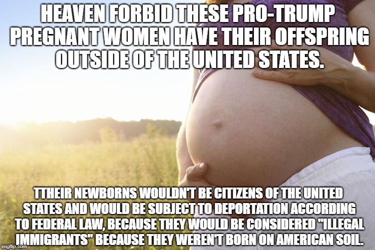 Pregnant Woman | HEAVEN FORBID THESE PRO-TRUMP PREGNANT WOMEN HAVE THEIR OFFSPRING OUTSIDE OF THE UNITED STATES. TTHEIR NEWBORNS WOULDN'T BE CITIZENS OF THE UNITED STATES AND WOULD BE SUBJECT TO DEPORTATION ACCORDING TO FEDERAL LAW, BECAUSE THEY WOULD BE CONSIDERED "ILLEGAL IMMIGRANTS" BECAUSE THEY WEREN'T BORN ON AMERICAN SOIL. | image tagged in pregnant woman | made w/ Imgflip meme maker