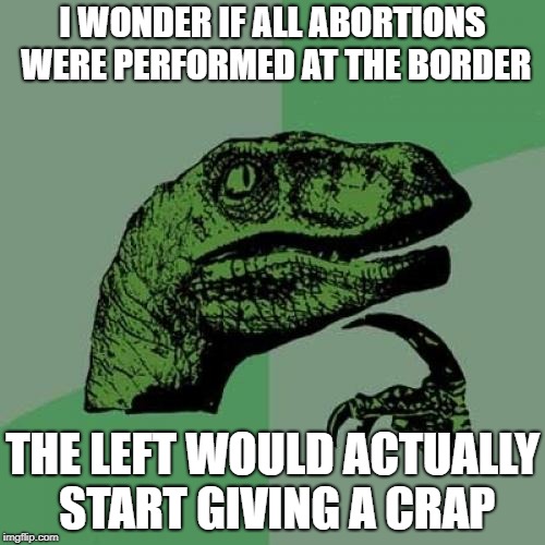 Philosoraptor Meme | I WONDER IF ALL ABORTIONS WERE PERFORMED AT THE BORDER; THE LEFT WOULD ACTUALLY START GIVING A CRAP | image tagged in memes,philosoraptor | made w/ Imgflip meme maker
