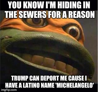 Ever feel like ICE is at your doorstep? | YOU KNOW I'M HIDING IN THE SEWERS FOR A REASON; TRUMP CAN DEPORT ME CAUSE I HAVE A LATINO NAME 'MICHELANGELO' | image tagged in teen age mutant ninja turtle,trump,deportation,latinos | made w/ Imgflip meme maker