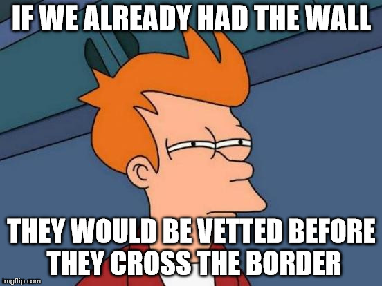 Futurama Fry Meme |  IF WE ALREADY HAD THE WALL; THEY WOULD BE VETTED BEFORE THEY CROSS THE BORDER | image tagged in memes,futurama fry | made w/ Imgflip meme maker
