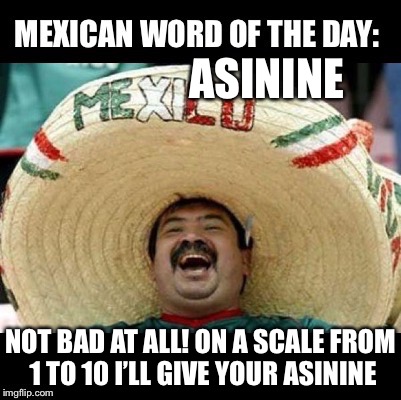 Mexican Word of the Day (LARGE) | ASININE; NOT BAD AT ALL! ON A SCALE FROM 1 TO 10 I’LL GIVE YOUR ASININE | image tagged in mexican word of the day large | made w/ Imgflip meme maker