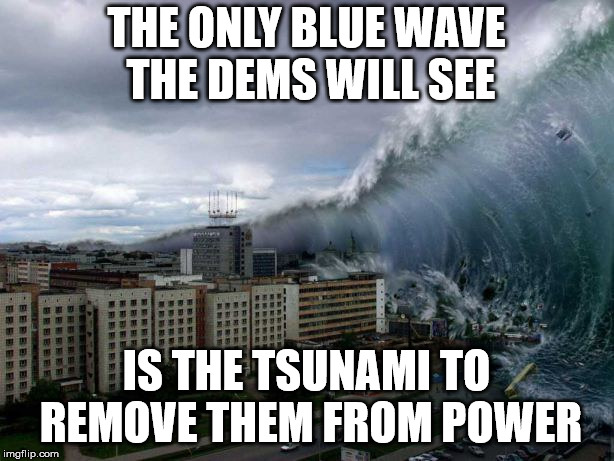 THE ONLY BLUE WAVE THE DEMS WILL SEE; IS THE TSUNAMI TO REMOVE THEM FROM POWER | made w/ Imgflip meme maker