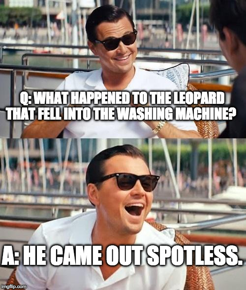 Leonardo Dicaprio Wolf Of Wall Street Meme | Q: WHAT HAPPENED TO THE LEOPARD THAT FELL INTO THE WASHING MACHINE? A: HE CAME OUT SPOTLESS. | image tagged in memes,leonardo dicaprio wolf of wall street | made w/ Imgflip meme maker