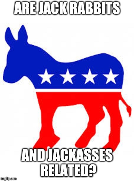 I Don't Know Jack |  ARE JACK RABBITS; AND JACKASSES RELATED? | image tagged in democrat donkey | made w/ Imgflip meme maker
