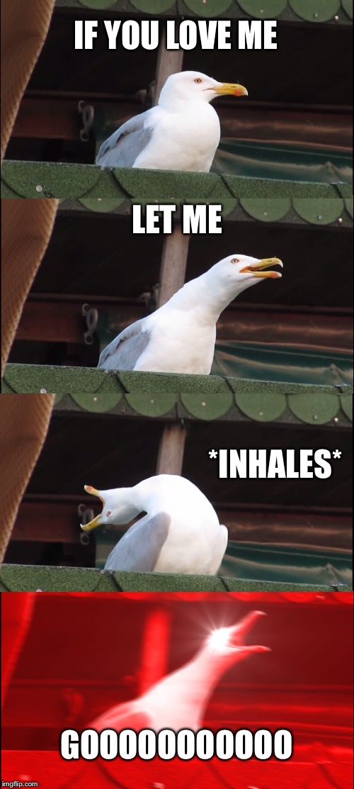 Inhaling Seagull Meme | IF YOU LOVE ME; LET ME; *INHALES*; GOOOOOOOOOOO | image tagged in memes,inhaling seagull | made w/ Imgflip meme maker