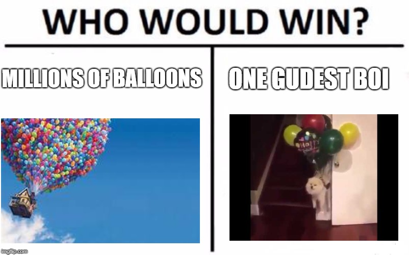 Who Would Win? | MILLIONS OF BALLOONS; ONE GUDEST BOI | image tagged in memes,who would win | made w/ Imgflip meme maker