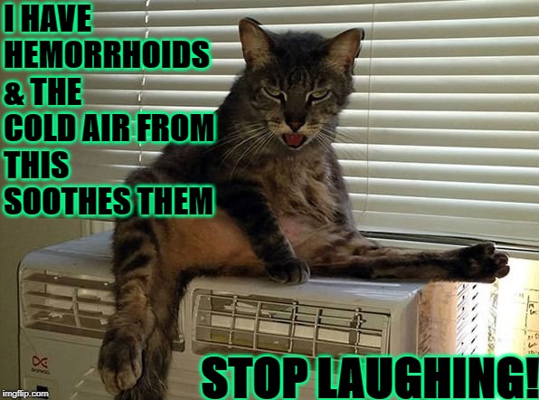 I HAVE HEMORRHOIDS & THE COLD AIR FROM THIS SOOTHES THEM; STOP
LAUGHING! | image tagged in butt cooler | made w/ Imgflip meme maker