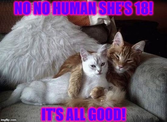 NO NO HUMAN SHE'S 18! IT'S ALL GOOD! | image tagged in it's all good | made w/ Imgflip meme maker