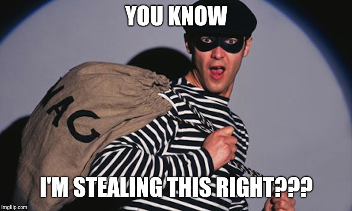 Burgler | YOU KNOW; I'M STEALING THIS RIGHT??? | image tagged in burgler | made w/ Imgflip meme maker