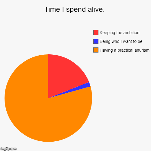 Time I spend alive. | Having a practical anurism , Being who I want to be, Keeping the ambition | image tagged in funny,pie charts | made w/ Imgflip chart maker
