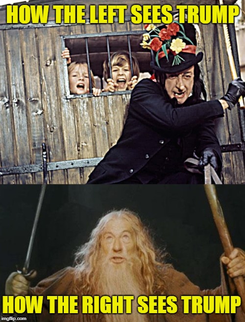 How They See It | HOW THE LEFT SEES TRUMP; HOW THE RIGHT SEES TRUMP | image tagged in donald trump,gandalf you shall not pass | made w/ Imgflip meme maker
