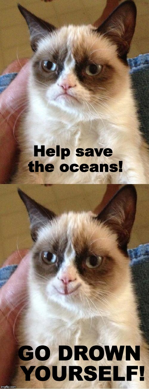 Grumpy Cat 2x Smile | Help save the oceans! GO DROWN  
YOURSELF! | image tagged in grumpy cat 2x smile | made w/ Imgflip meme maker
