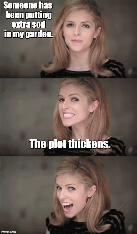 Bad Pun Anna Kendrick | Someone has been putting extra soil in my garden. The plot thickens. | image tagged in memes,bad pun anna kendrick | made w/ Imgflip meme maker