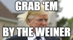 GRAB 'EM BY THE WEINER | made w/ Imgflip meme maker