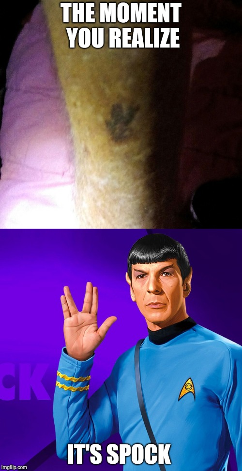 THE MOMENT YOU REALIZE; IT'S SPOCK | image tagged in spock live long and prosper | made w/ Imgflip meme maker