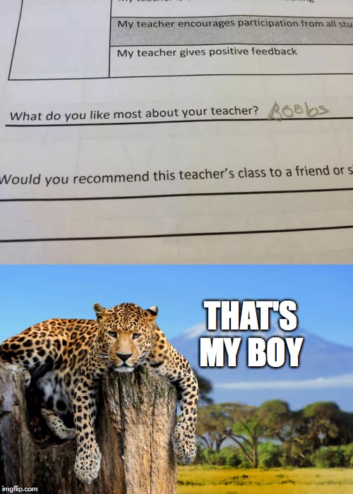 The State Of Education | THAT'S MY BOY | image tagged in school | made w/ Imgflip meme maker