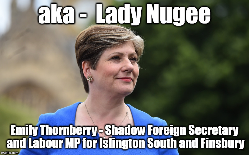 Emily Thornberry aka Lady Nugee | aka -  Lady Nugee; Emily Thornberry - Shadow Foreign Secretary and Labour MP for Islington South and Finsbury | image tagged in lady nugee - emily thornberry mp,corbyn eww,party of hate,communist socialist,momentum students,mcdonnell abbott | made w/ Imgflip meme maker