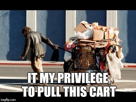 IT MY PRIVILEGE TO PULL THIS CART | made w/ Imgflip meme maker