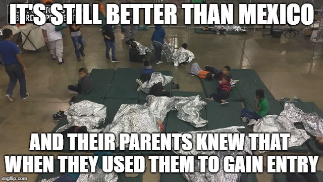 The truth of the matter | IT'S STILL BETTER THAN MEXICO; AND THEIR PARENTS KNEW THAT WHEN THEY USED THEM TO GAIN ENTRY | image tagged in illegal immigration,fake news | made w/ Imgflip meme maker