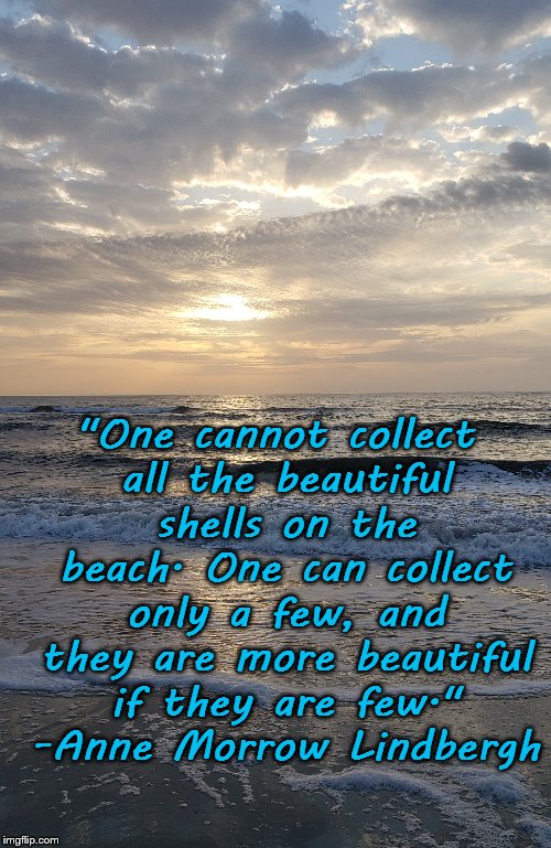 Seashells By The Seashore | "One cannot collect all the beautiful shells on the beach. One can collect only a few, and they are more beautiful if they are few." -Anne Morrow Lindbergh | image tagged in beach | made w/ Imgflip meme maker
