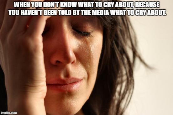 Americans without the media | WHEN YOU DON'T KNOW WHAT TO CRY ABOUT, BECAUSE YOU HAVEN'T BEEN TOLD BY THE MEDIA WHAT TO CRY ABOUT. | image tagged in memes,first world problems,political meme,politics | made w/ Imgflip meme maker