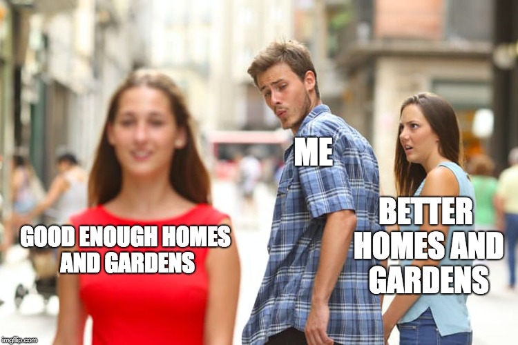 Distracted Boyfriend | ME; BETTER HOMES AND GARDENS; GOOD ENOUGH HOMES AND GARDENS | image tagged in memes,distracted boyfriend | made w/ Imgflip meme maker