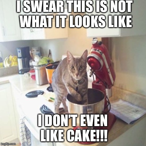 This is why you don’t leave raw cake batter on the counter alone for a few minutes | I SWEAR THIS IS NOT WHAT IT LOOKS LIKE; I DON’T EVEN LIKE CAKE!!! | image tagged in memes | made w/ Imgflip meme maker