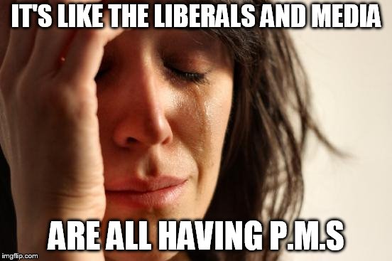 First World Problems | IT'S LIKE THE LIBERALS AND MEDIA; ARE ALL HAVING P.M.S | image tagged in memes,first world problems | made w/ Imgflip meme maker