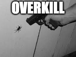 OVERKILL | image tagged in spider | made w/ Imgflip meme maker