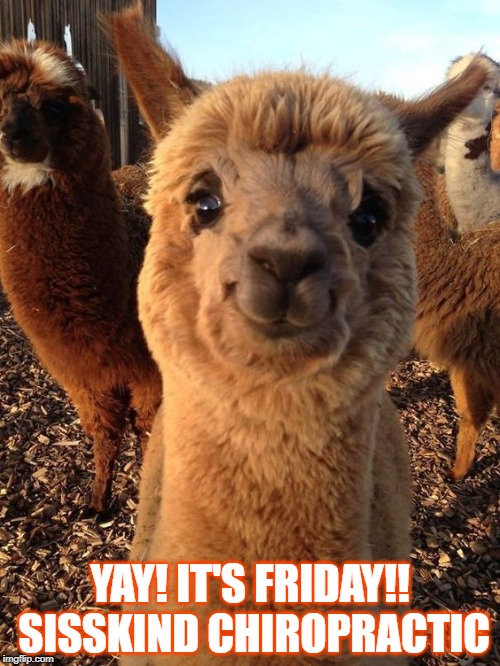 YAY! IT'S FRIDAY!! | YAY! IT'S FRIDAY!! SISSKIND CHIROPRACTIC | image tagged in yay it's friday | made w/ Imgflip meme maker