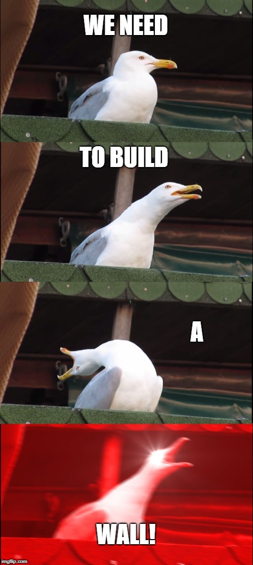 Inhaling Seagull Meme | WE NEED; TO BUILD; A; WALL! | image tagged in memes,inhaling seagull | made w/ Imgflip meme maker