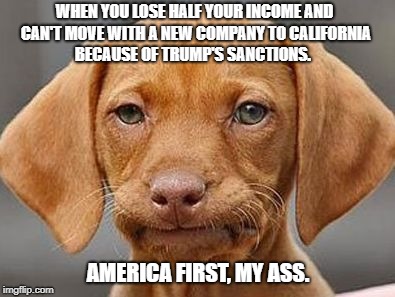 Ya couldn't just take me to the Dog Stop | WHEN YOU LOSE HALF YOUR INCOME AND CAN'T MOVE WITH A NEW COMPANY TO CALIFORNIA BECAUSE OF TRUMP'S SANCTIONS. AMERICA FIRST, MY ASS. | image tagged in ya couldn't just take me to the dog stop | made w/ Imgflip meme maker