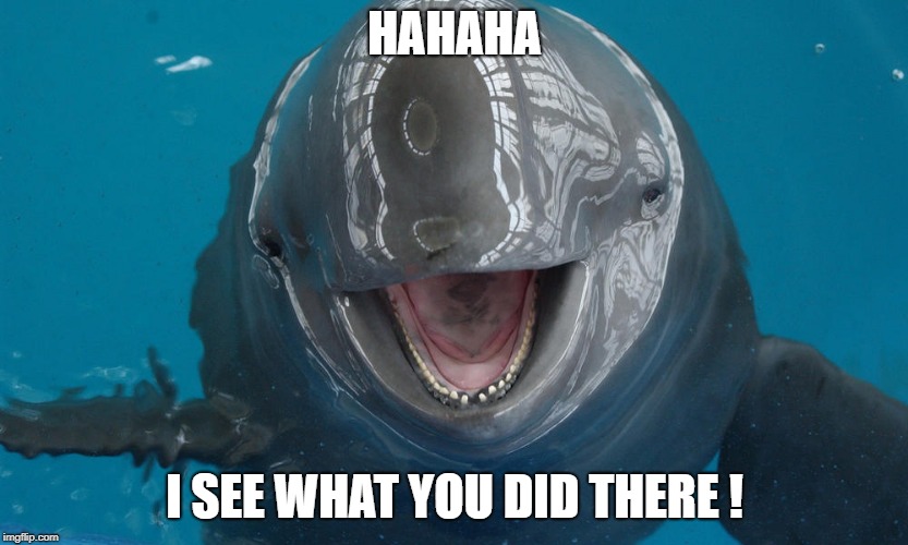 HAHAHA I SEE WHAT YOU DID THERE ! | image tagged in porpoise | made w/ Imgflip meme maker