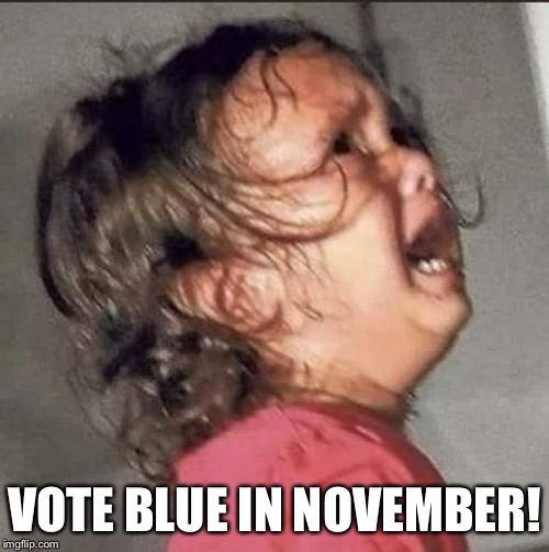 Immigrant girl crying  | VOTE BLUE IN NOVEMBER! | image tagged in immigrant girl in pink,immigrant girl crying,immigration,trump immigration policy | made w/ Imgflip meme maker
