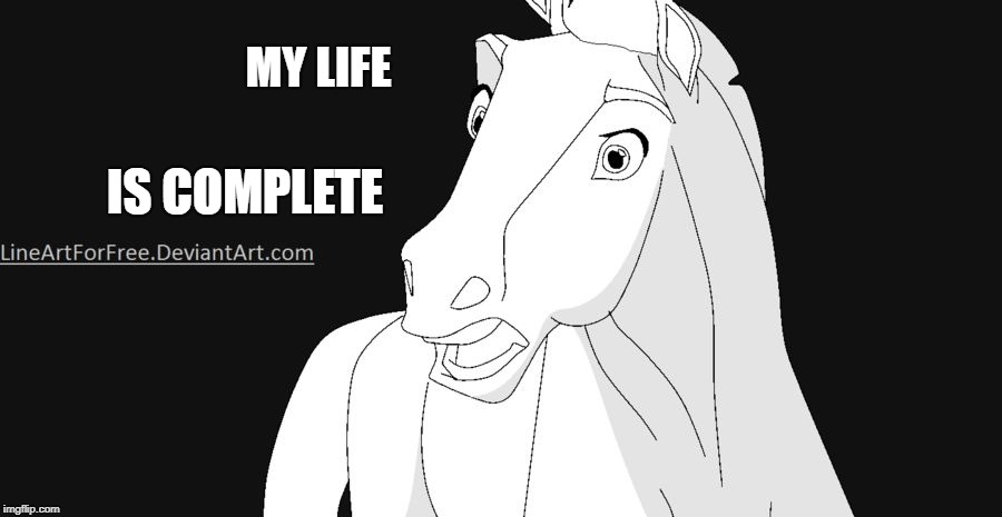 Shocked Horse | MY LIFE IS COMPLETE | image tagged in shocked horse | made w/ Imgflip meme maker