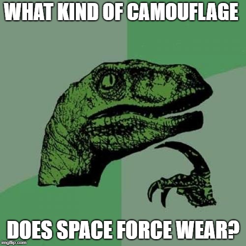 Philosoraptor | WHAT KIND OF CAMOUFLAGE; DOES SPACE FORCE WEAR? | image tagged in memes,philosoraptor | made w/ Imgflip meme maker