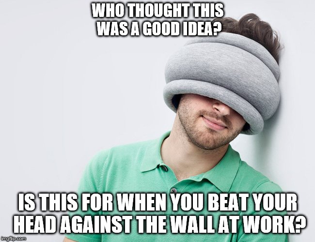 Why would you sleep with your head in a flowerpot? | WHO THOUGHT THIS WAS A GOOD IDEA? IS THIS FOR WHEN YOU BEAT YOUR HEAD AGAINST THE WALL AT WORK? | image tagged in memes,stupid memes,bad ideas,special kind of stupid,inventions | made w/ Imgflip meme maker