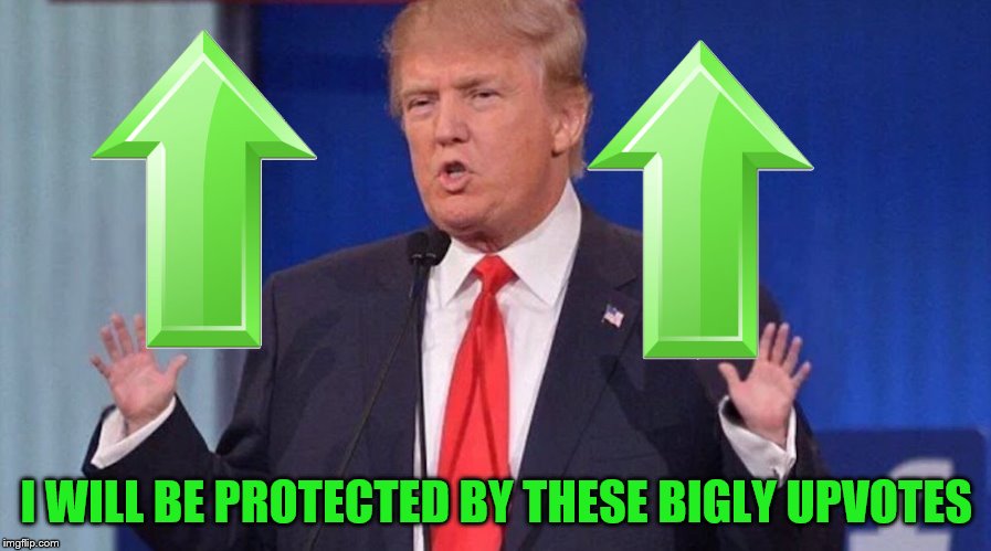 I WILL BE PROTECTED BY THESE BIGLY UPVOTES | made w/ Imgflip meme maker